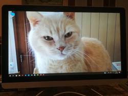 HP All in one Pc 24-e002nl